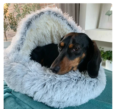2-in1 Pet Bed HEARTLESS Habits