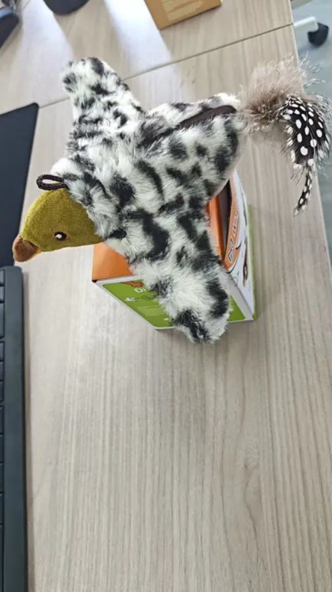 Plush Bird Pet Toy HEARTLESS Habits