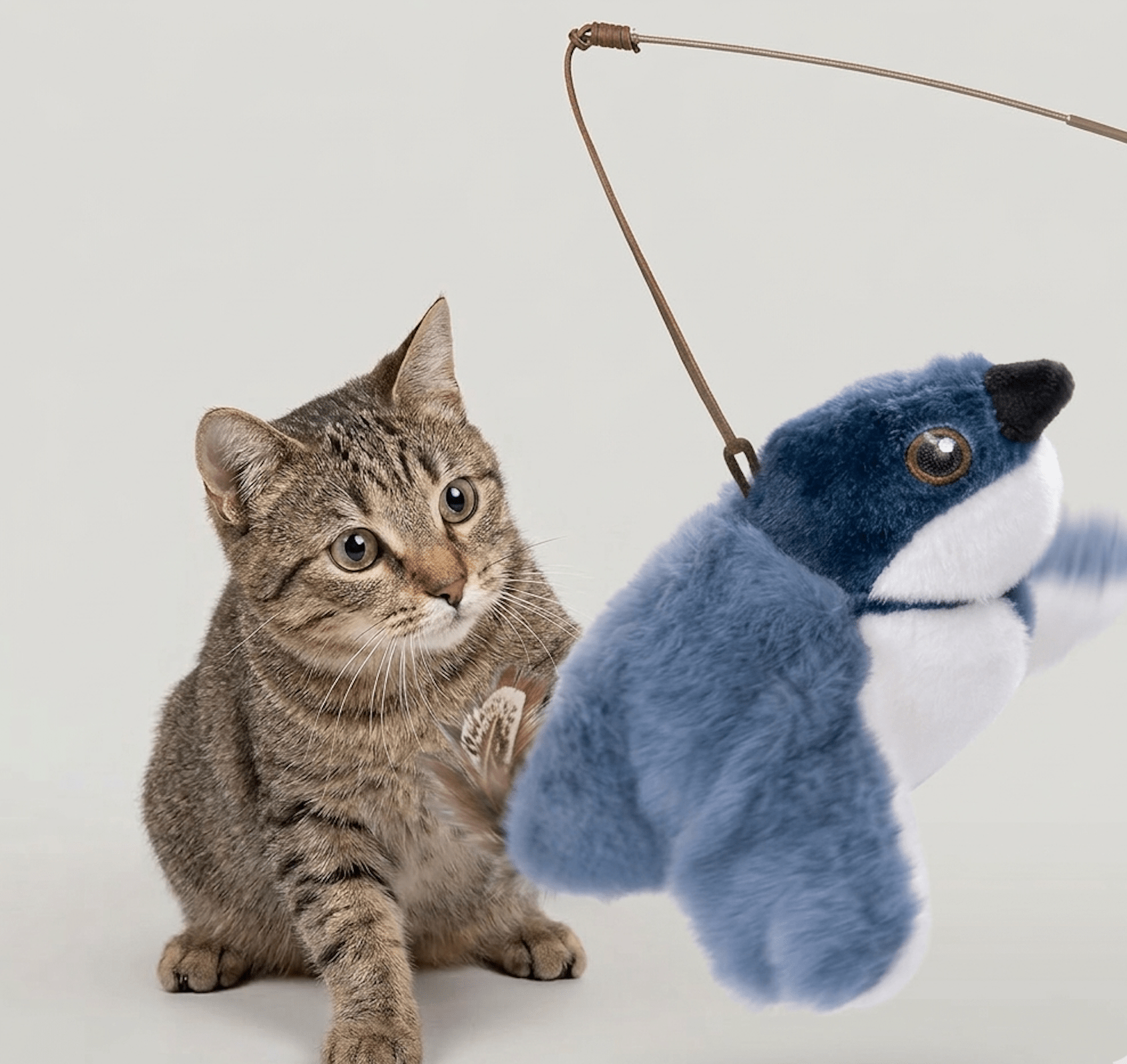 Flapping Bird Cat  Toy HEARTLESS Habits